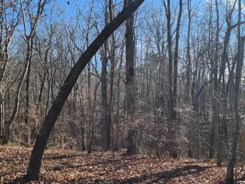 5-Acre Wooded Tract Near Mentone