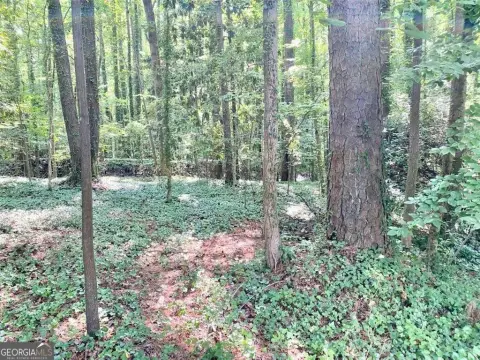Residential Land in Atlanta, GA