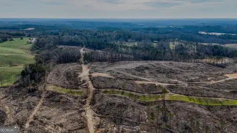 134 Acres Near Tallapoosa, GA