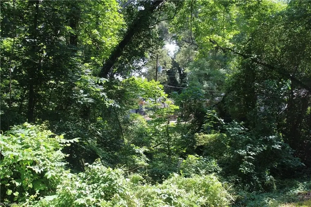 Picture 8