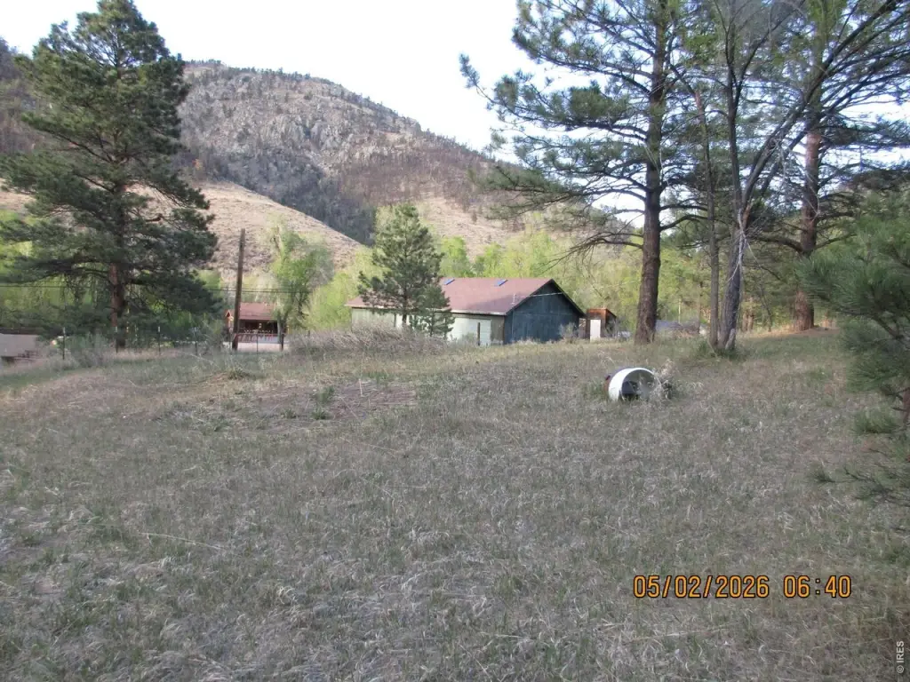Picture 5