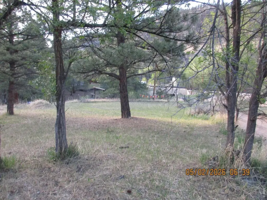 Picture 2