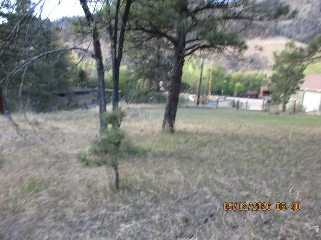 Picture 3