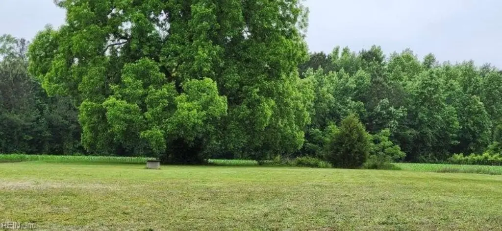Picture 8