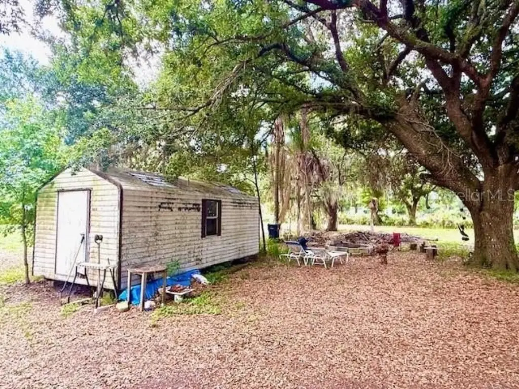 Picture 21