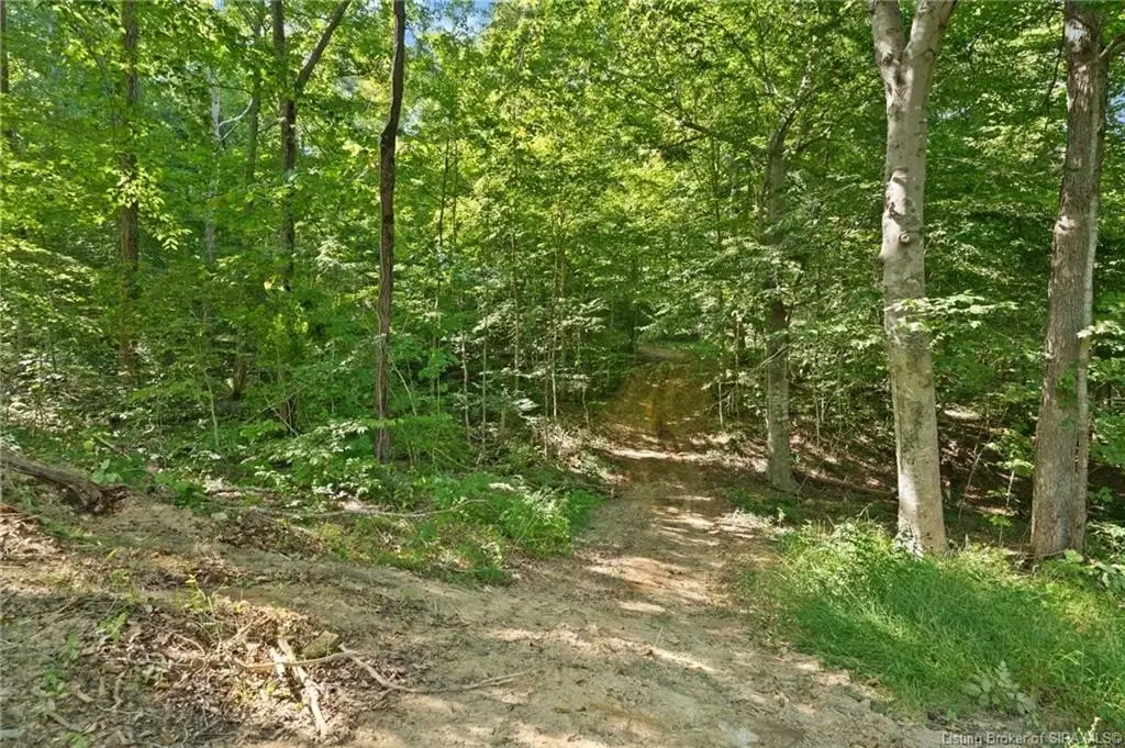 Picture 16
