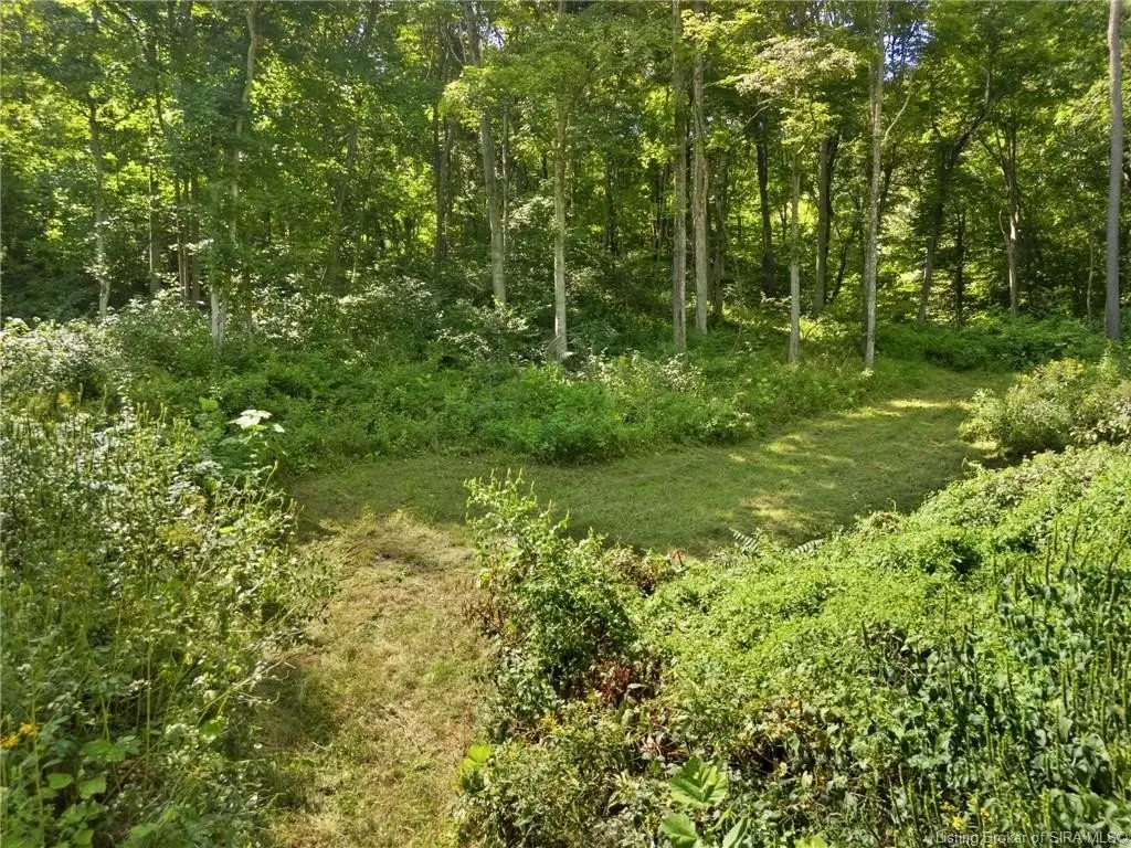 Picture 29
