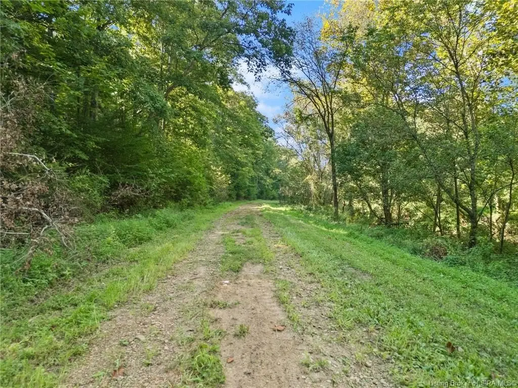 Picture 69