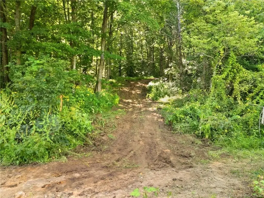 Picture 46