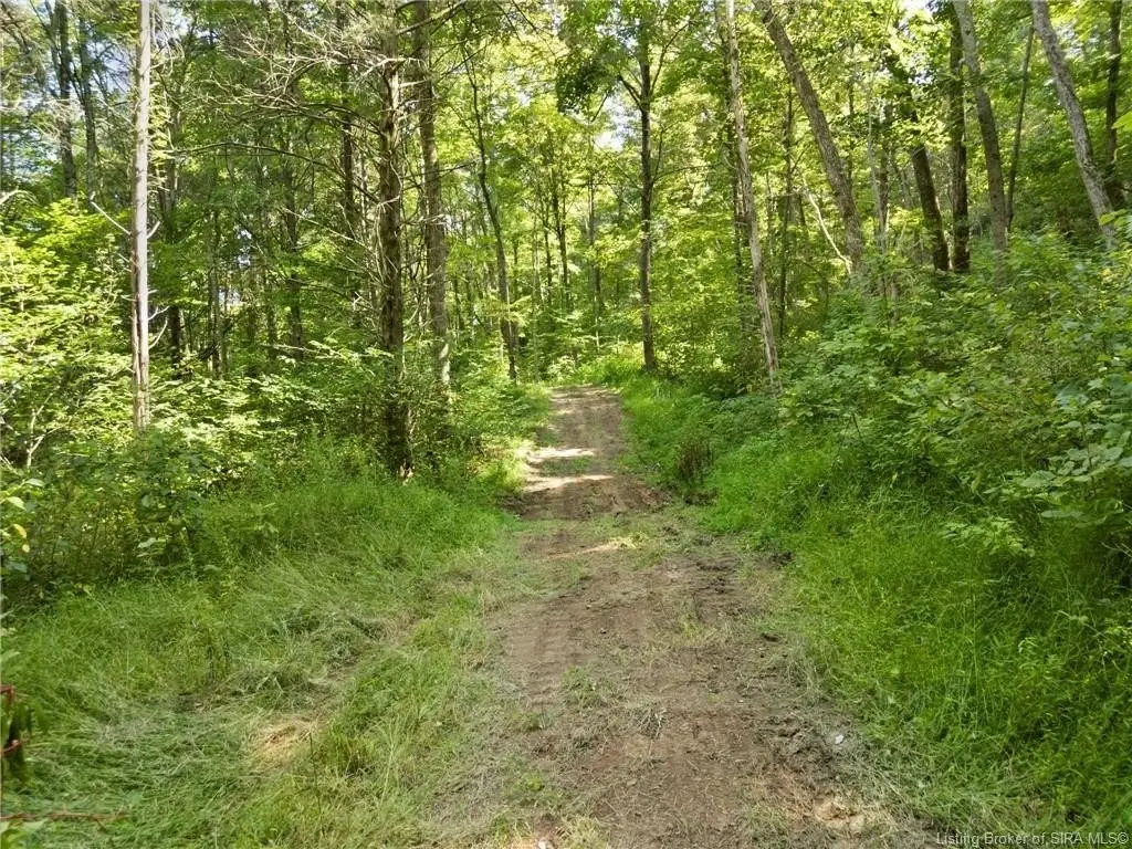 Picture 50