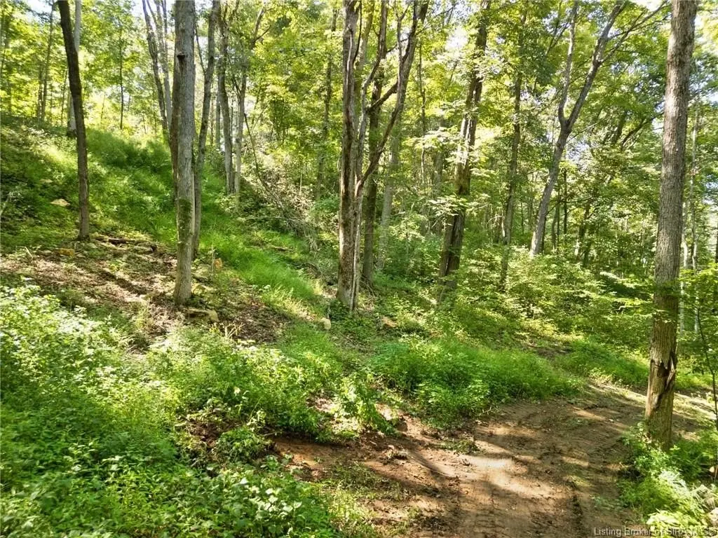 Picture 47