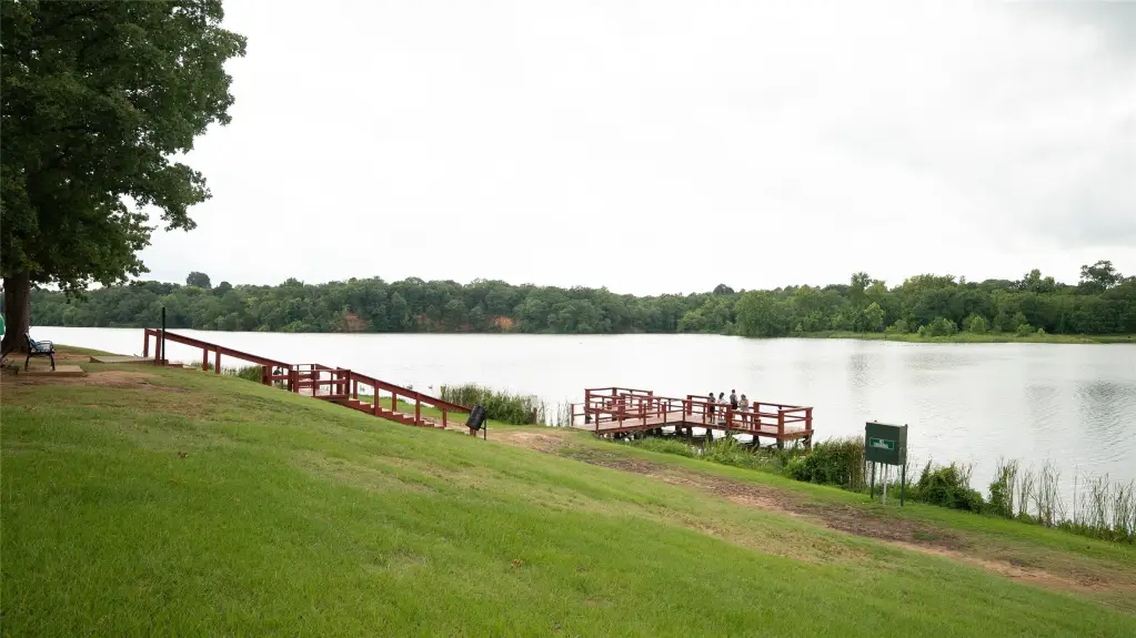 Picture 31