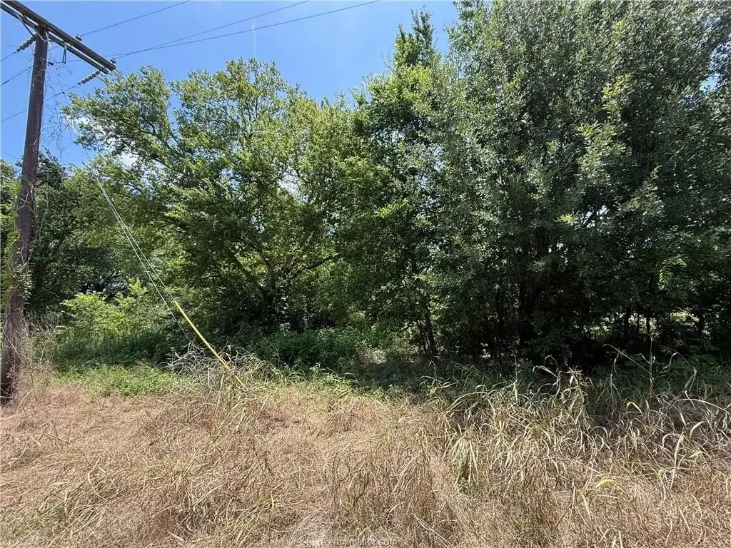 Picture 9