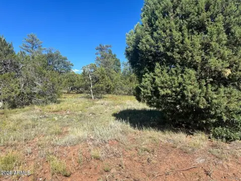 Lakeside, AZ Land Parcel