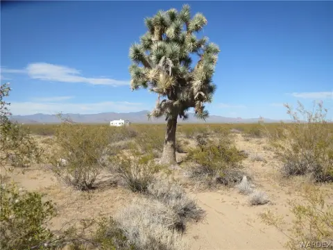 38-Acre Land Parcel in Yucca