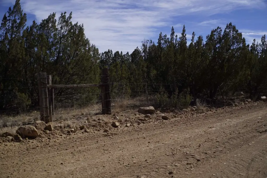 Picture 33