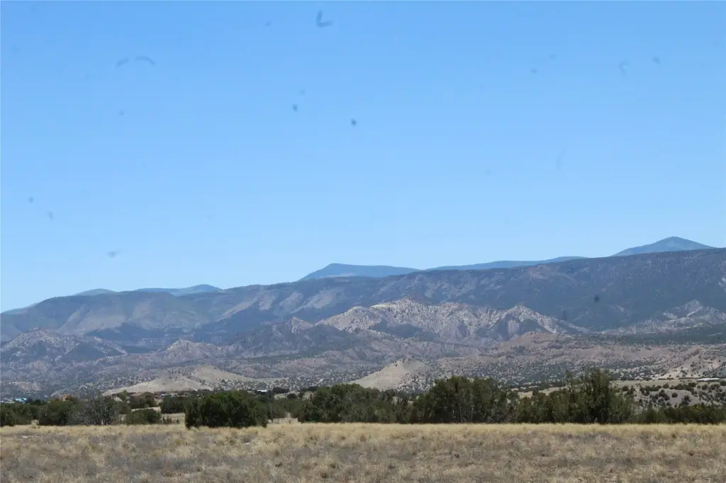 Picture 10