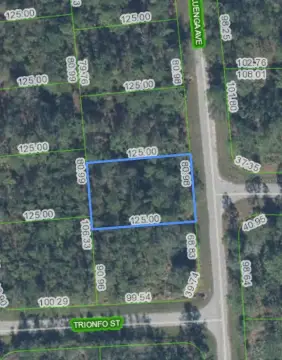 Residential Land in Sebring Community