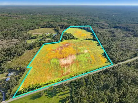 Cultivated Agricultural Land