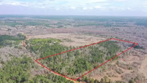 Secluded Wooded Acreage Near Jefferson