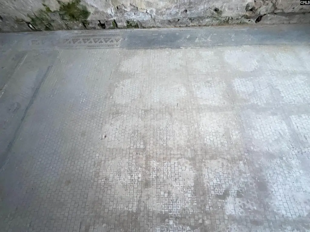 Picture 5