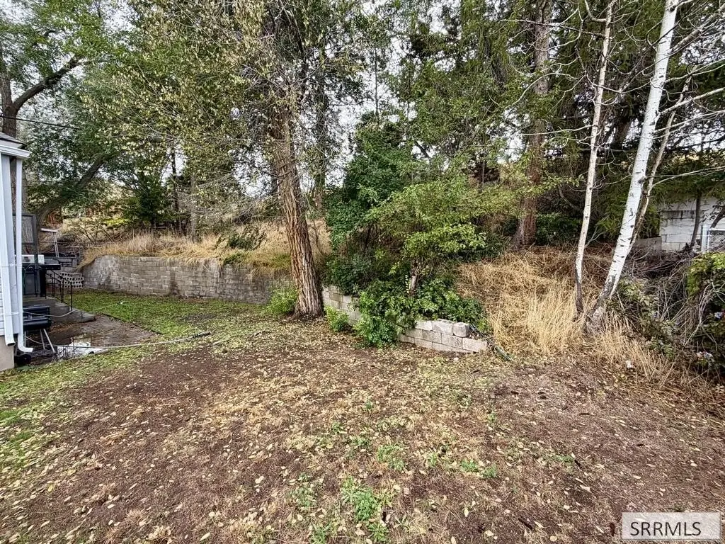Picture 3