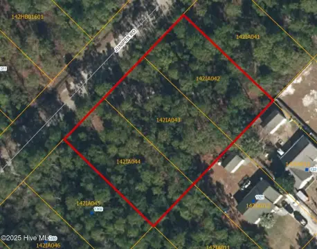 Boiling Spring Lakes Land Opportunity