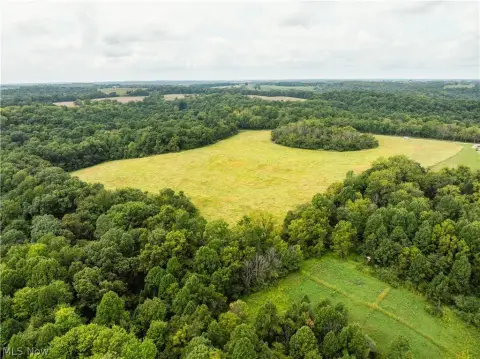 Wooded Hunting Land