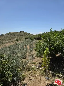 20 Acres of Gorgeous Land