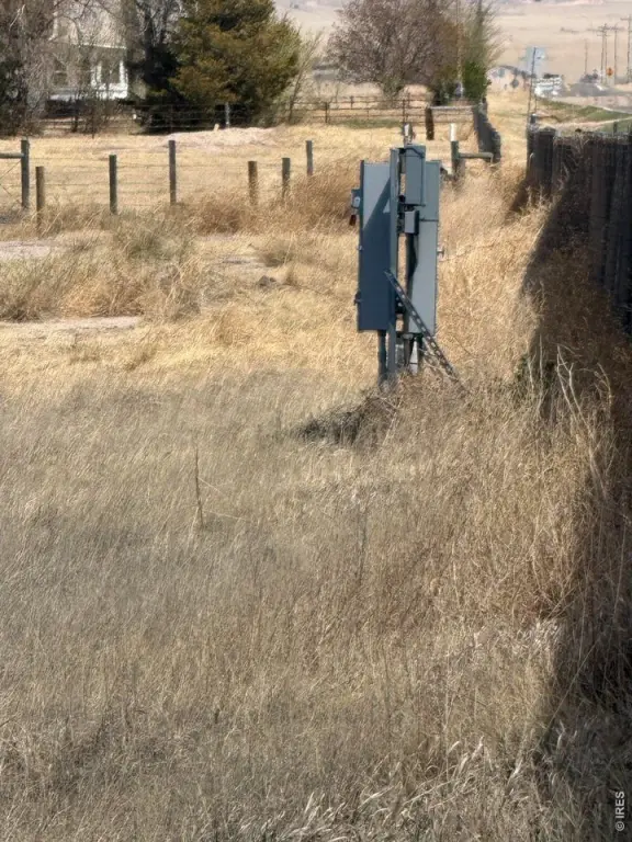 Picture 11
