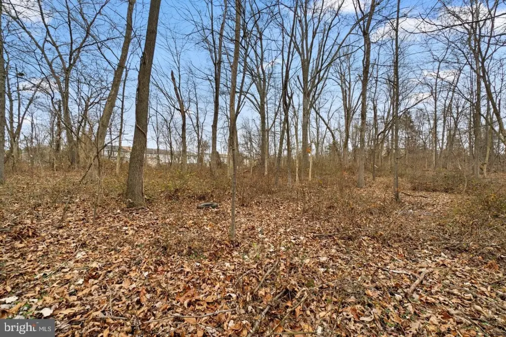 Picture 18