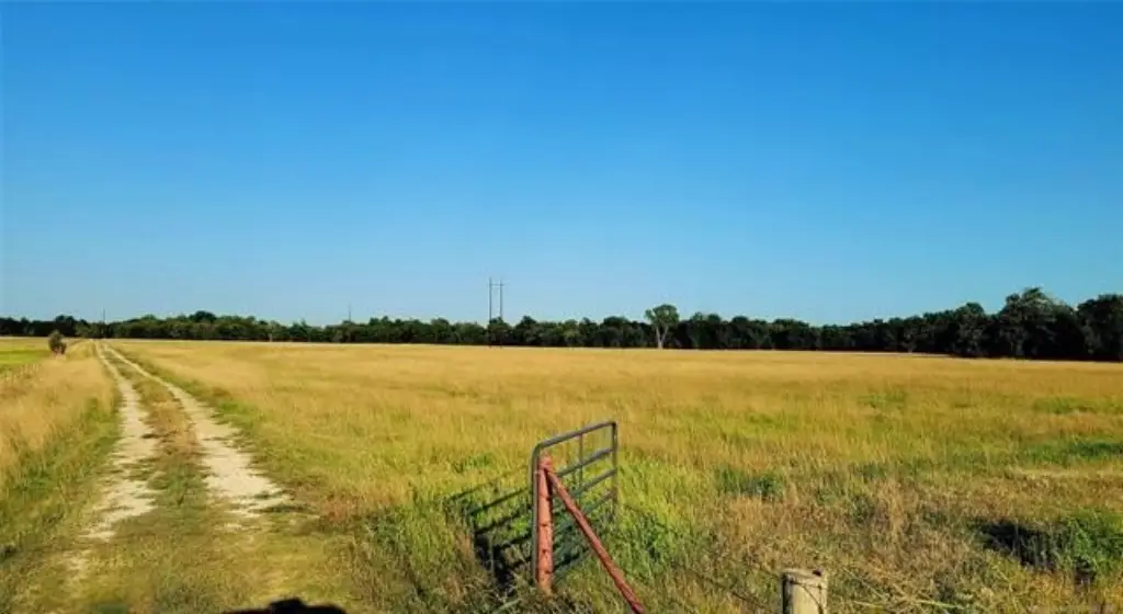 Picture 9