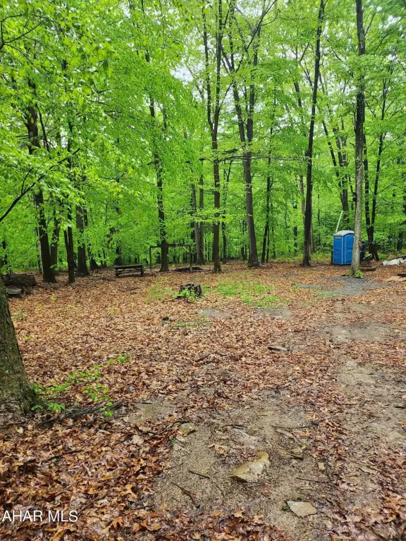 Picture 9
