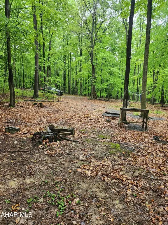 Picture 5