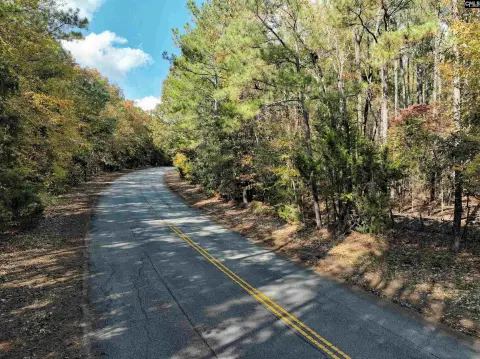 Commercial Lot in Chapin, SC