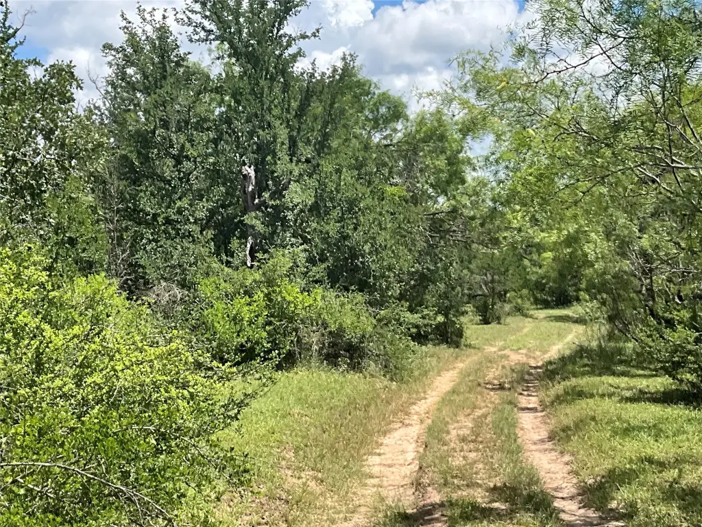 Picture 36