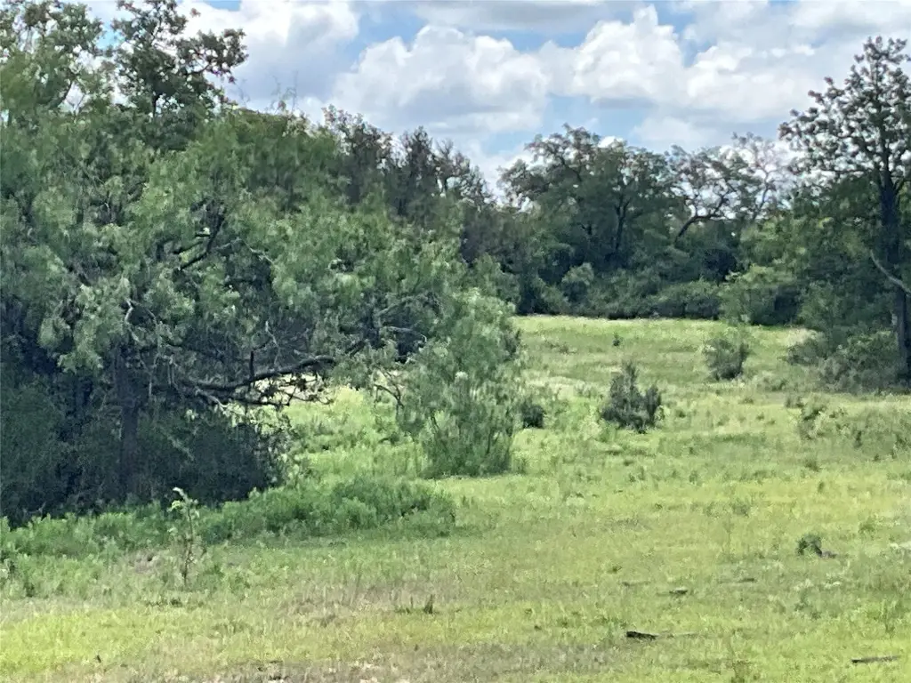 Picture 25