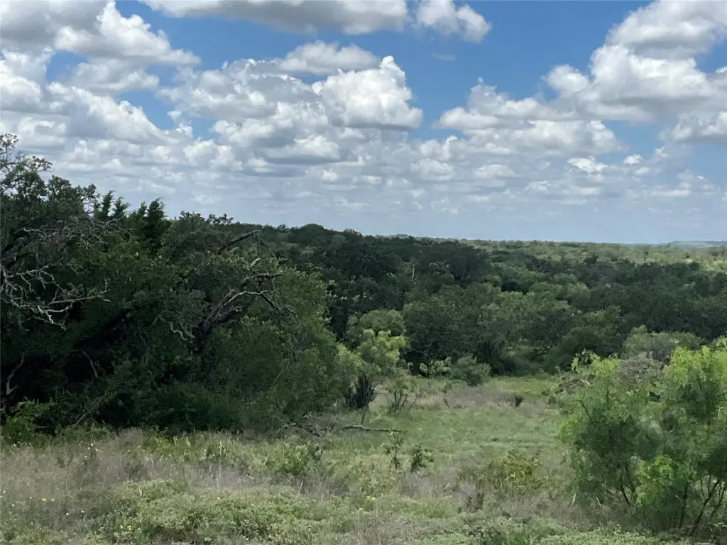 Picture 40