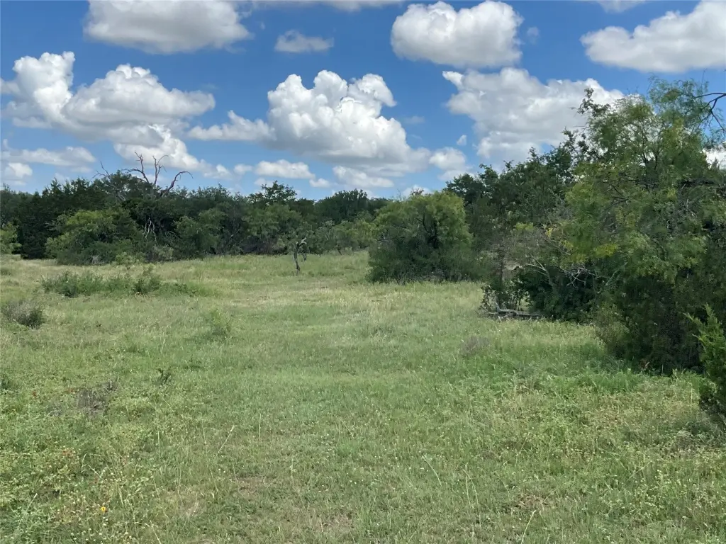Picture 23