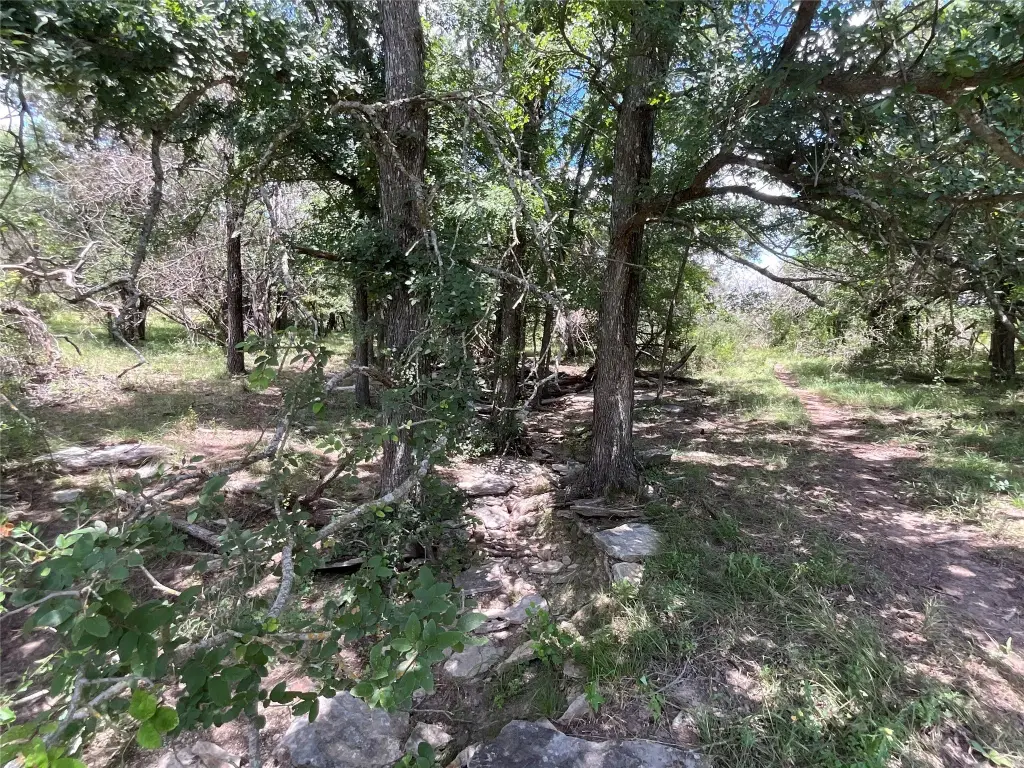 Picture 38