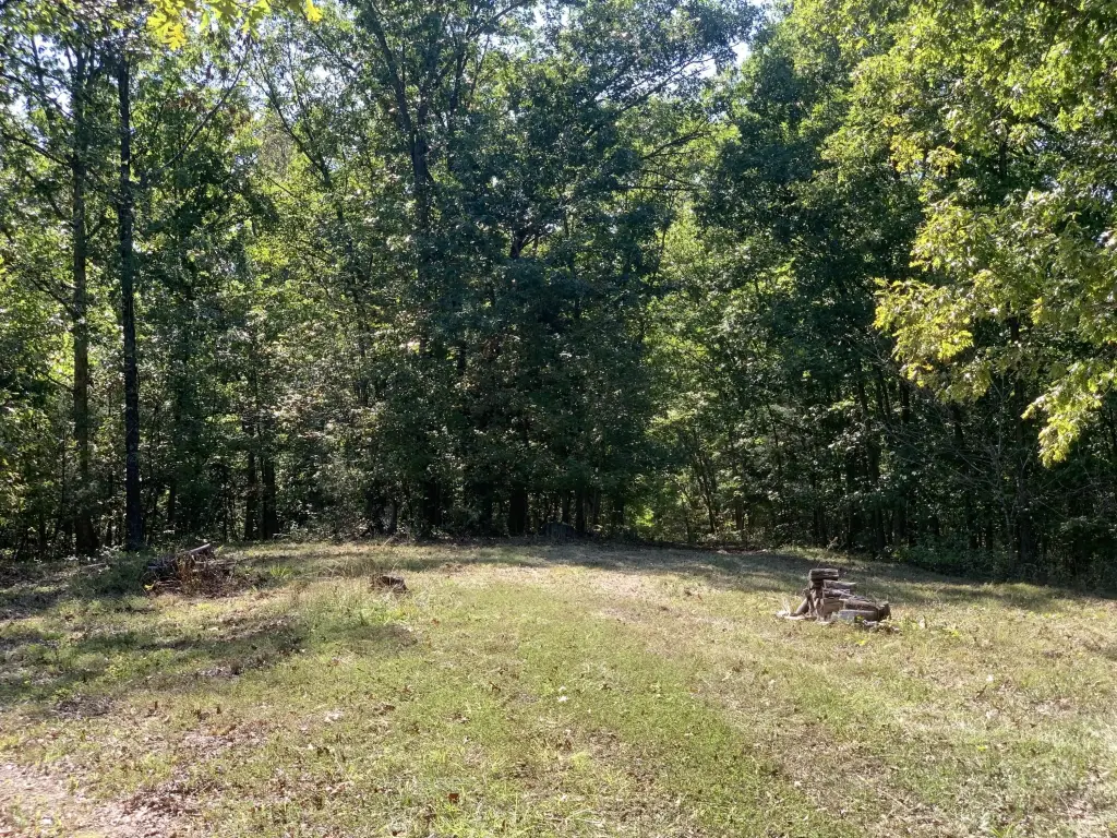 Picture 5