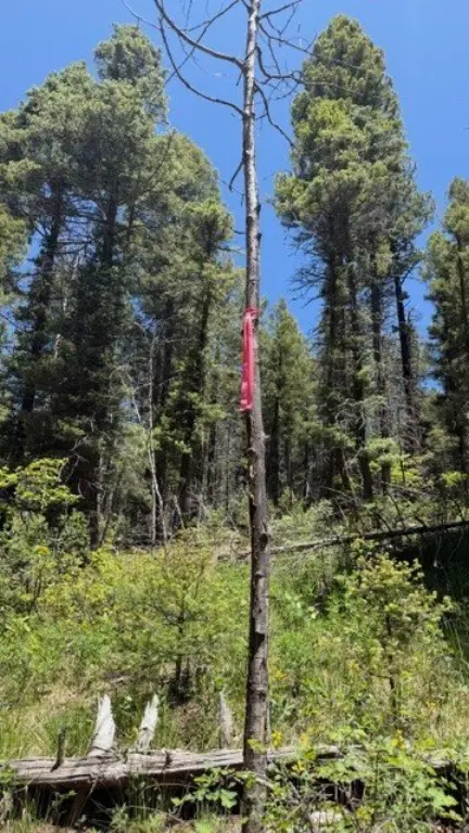 Picture 14
