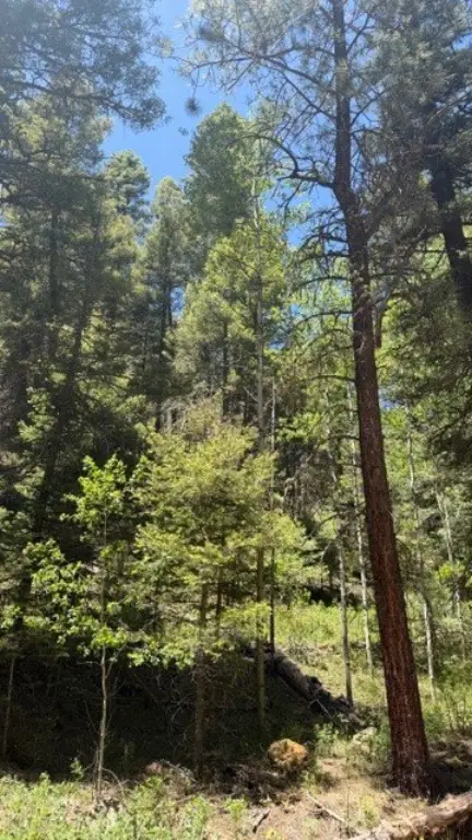 Picture 3