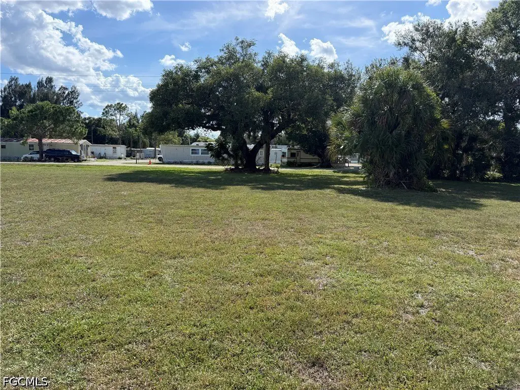 Picture 6