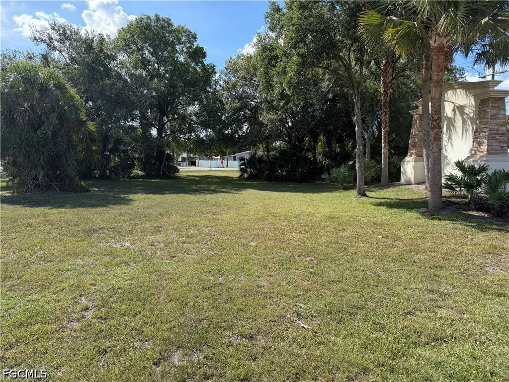 Picture 5