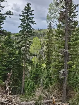 Residential Lot Near Eagle Point