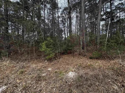 Wooded Lot in Lake Deerwood