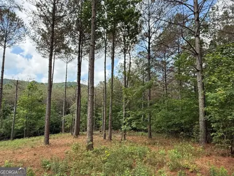 Spacious Lot in Reece Mountain