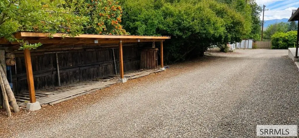 Picture 14