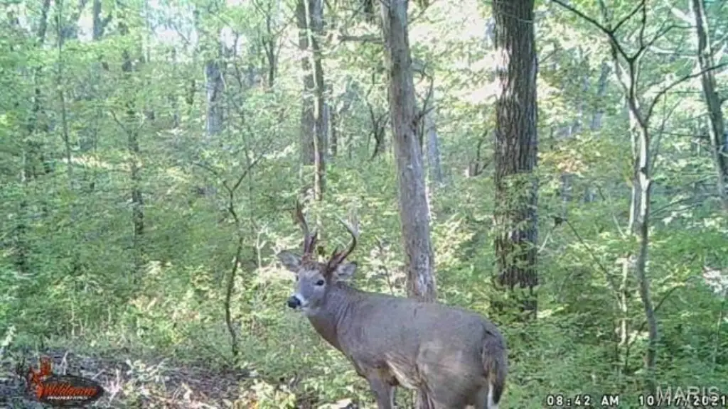 Picture 2